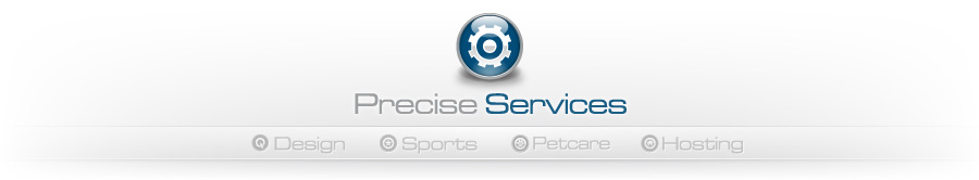 Precise Services, Inc.